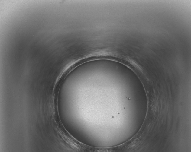 X0000060261270200511041340