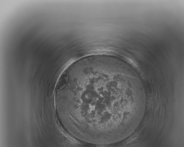 X0000060261275200511041340