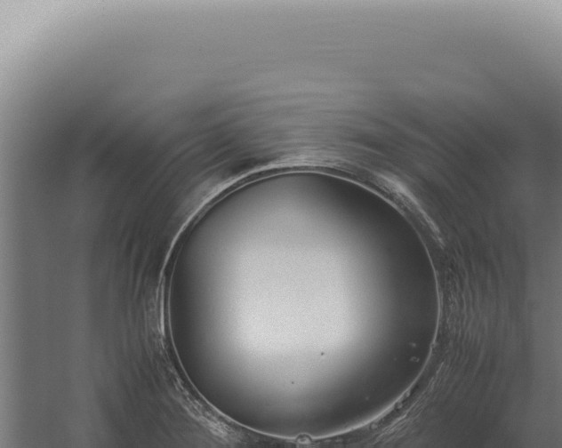 X0000060261276200511041340