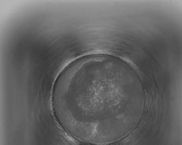 X0000060261278200511041340