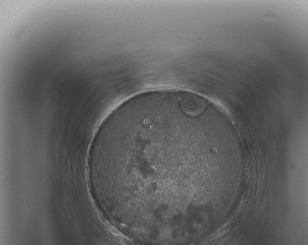 X0000060261279200511041340