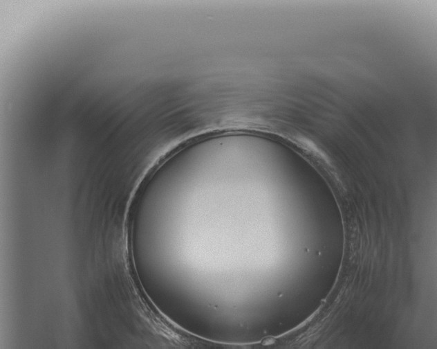 X0000060261280200511041340