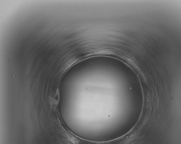 X0000060261281200511041340