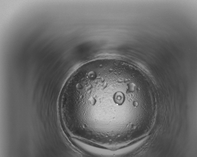 X0000060261283200511041340