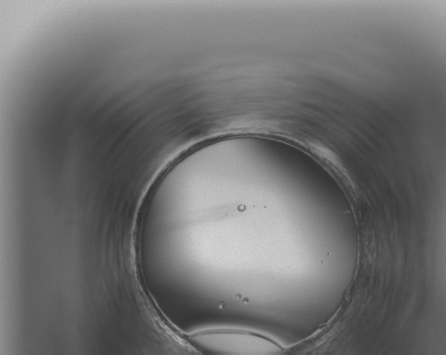 X0000060261288200511041339