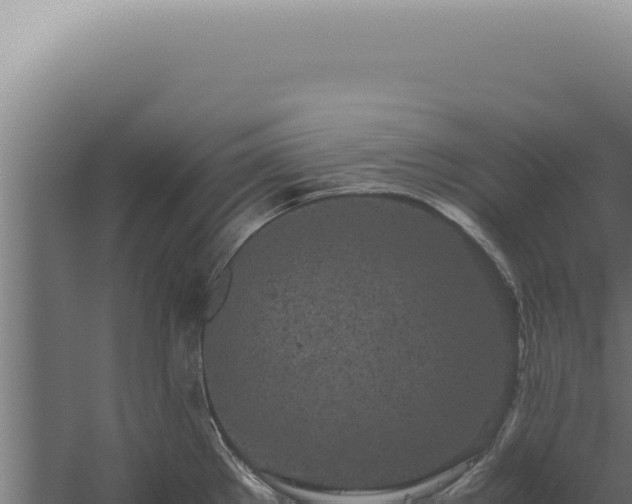 X0000060261289200511041339