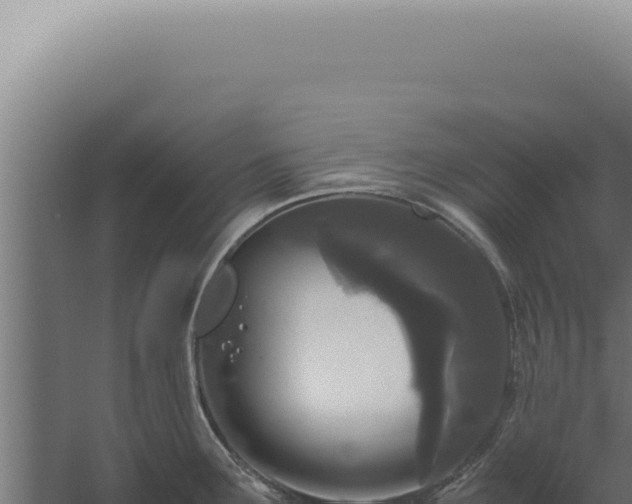 X0000060261291200511041339