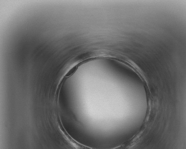 X0000060261293200511041339