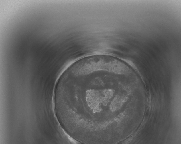 X0000060261294200511041339