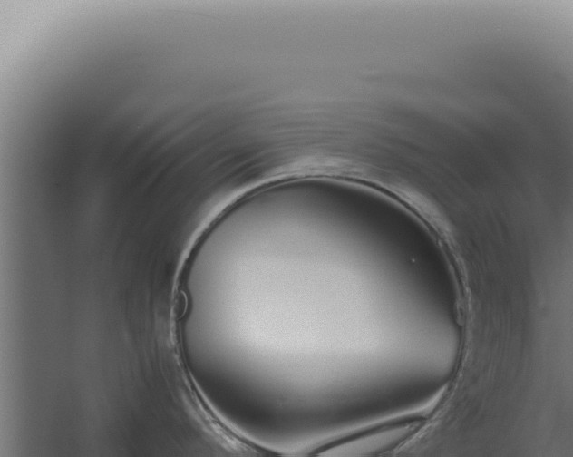 X0000060261296200511041339