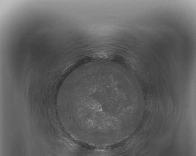 X0000060261297200511041338