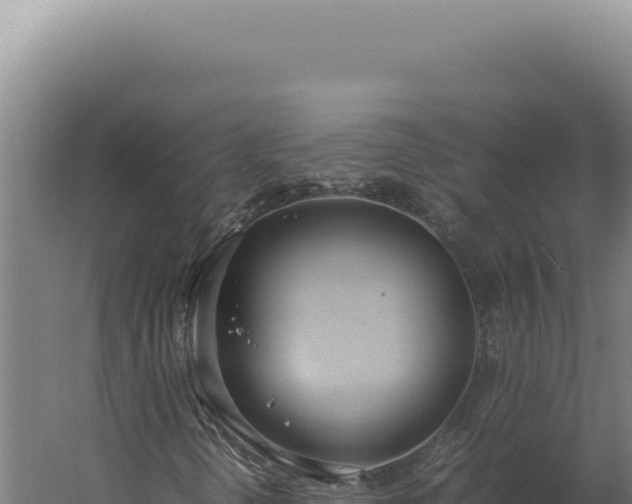 X0000060261298200511041338