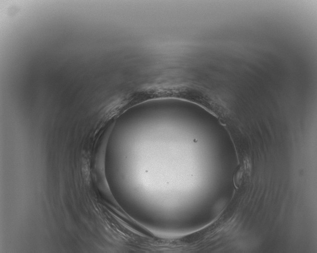 X0000060261300200511041339