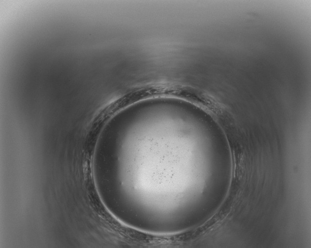 X0000060261302200511041339