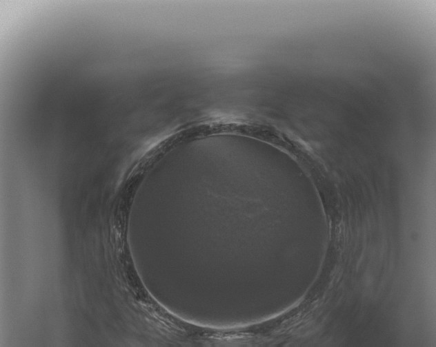 X0000060261303200511041339