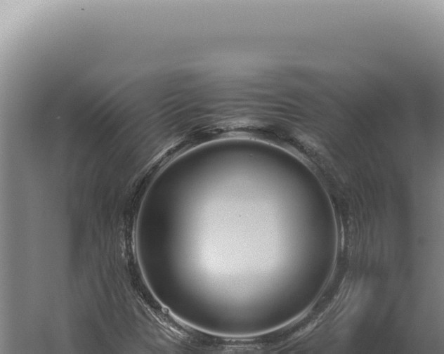 X0000060261305200511041339