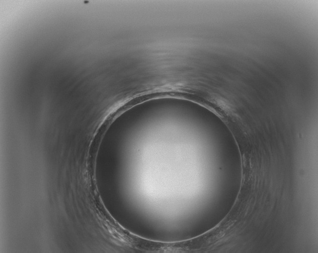 X0000060261308200511041339