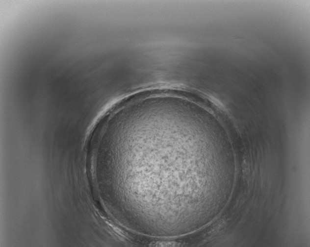 X0000060261310200511041339