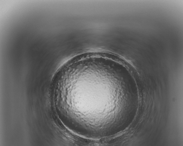 X0000060261311200511041339