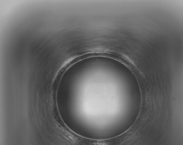 X0000060261315200511041339