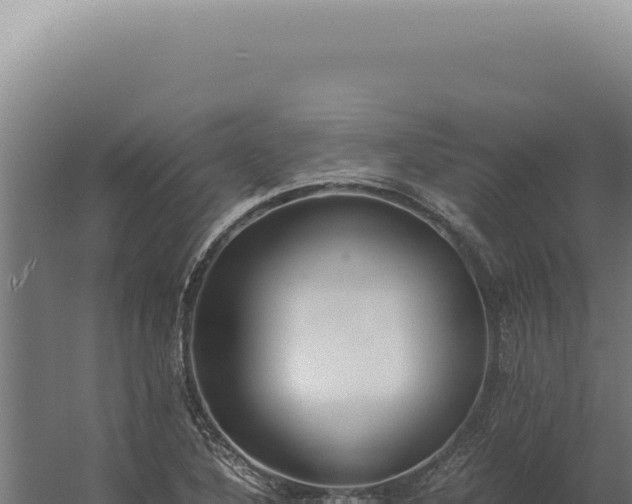 X0000060261316200511041339