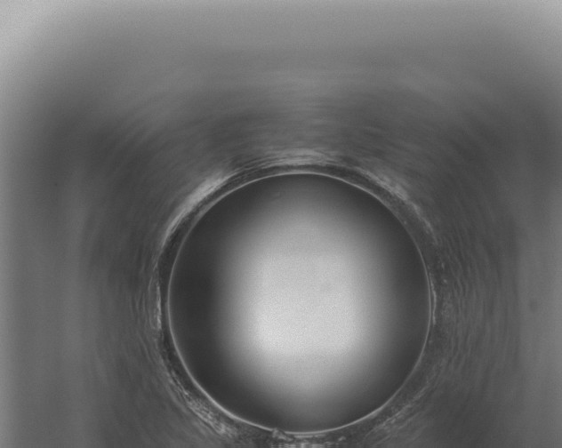 X0000060261317200511041339