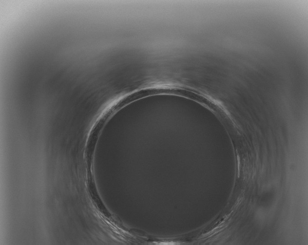 X0000060261319200511041339