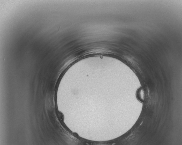 X0000060261322200511041339