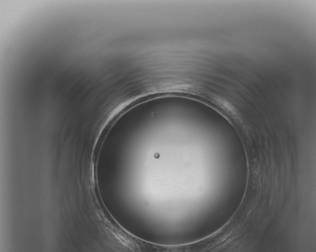 X0000060261324200511041339