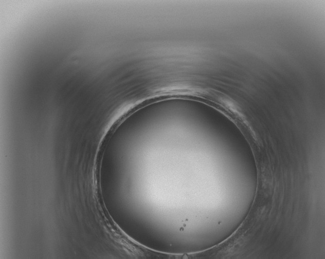 X0000060261328200511041339