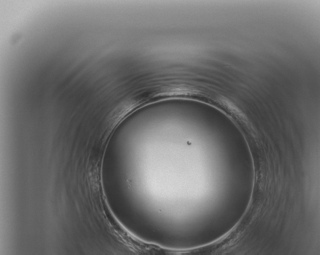 X0000060261329200511041339