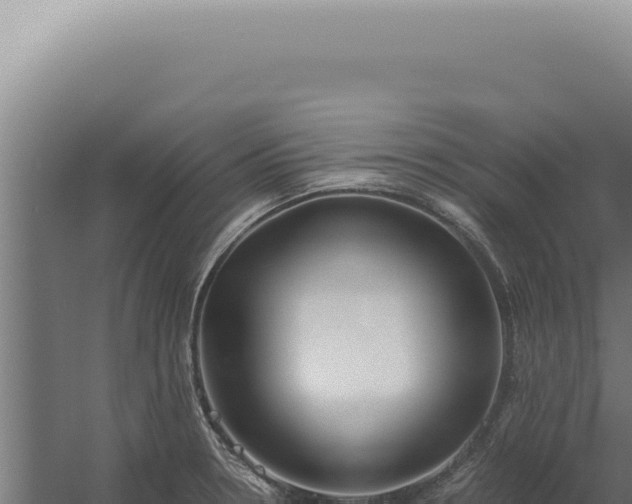 X0000060261330200511041339