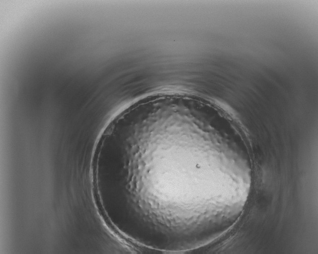 X0000060261335200511041339