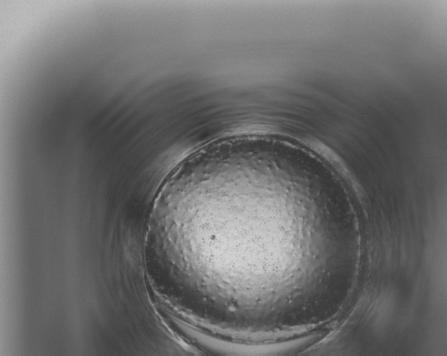 X0000060261337200511041339