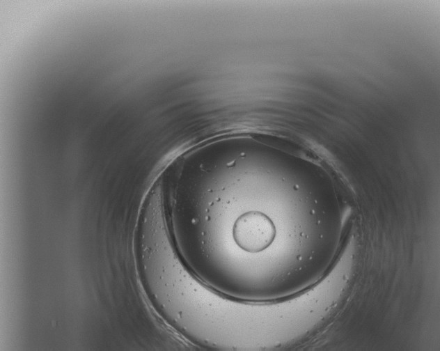 X0000060261338200511041339