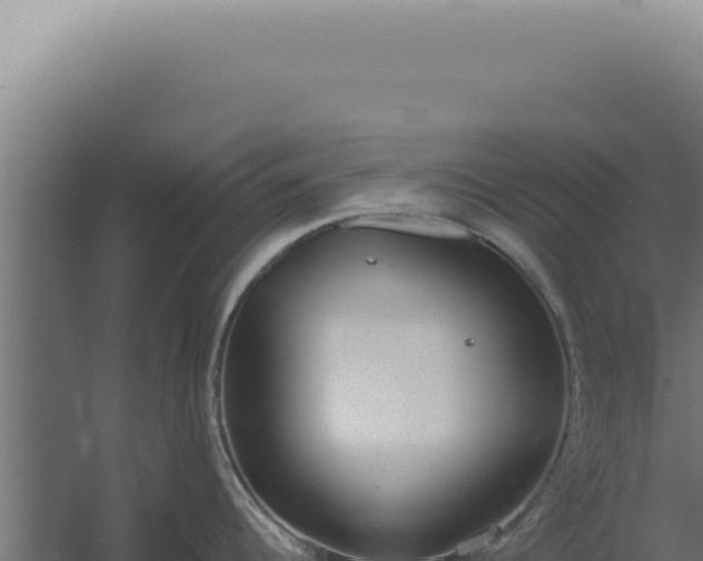 X0000060261344200511041339