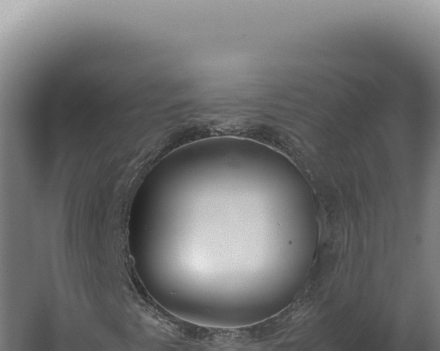 X0000060261345200511041338