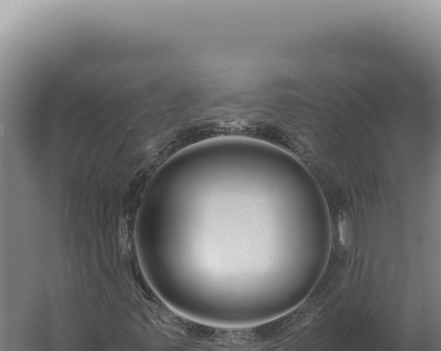 X0000060261347200511041338