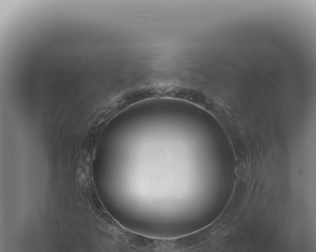 X0000060261349200511041338