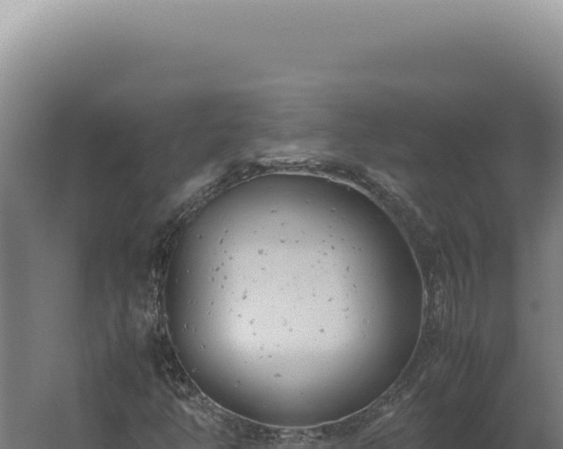 X0000060261350200511041338