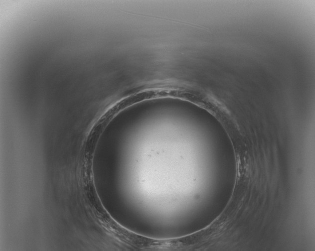 X0000060261352200511041338