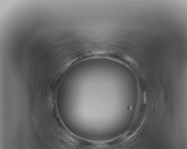 X0000060261353200511041338