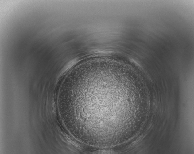 X0000060261354200511041338