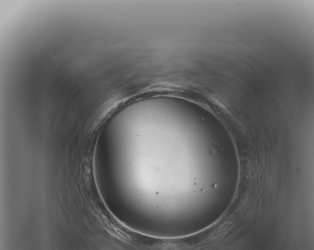 X0000060261355200511041338