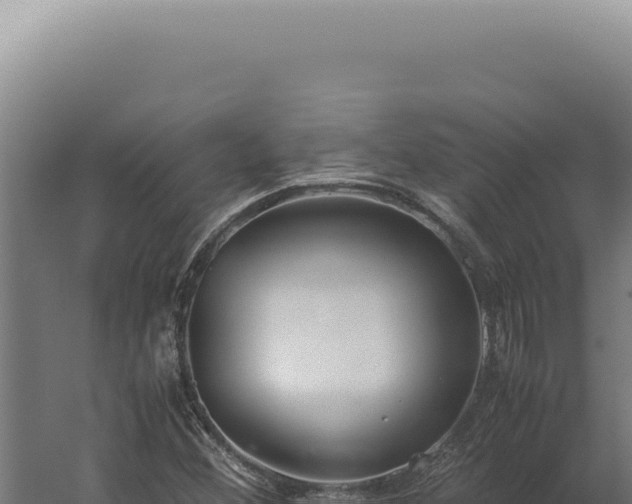 X0000060261356200511041338