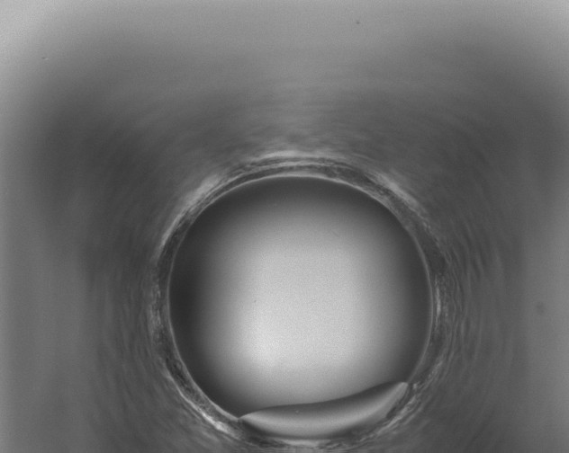 X0000060261357200511041338