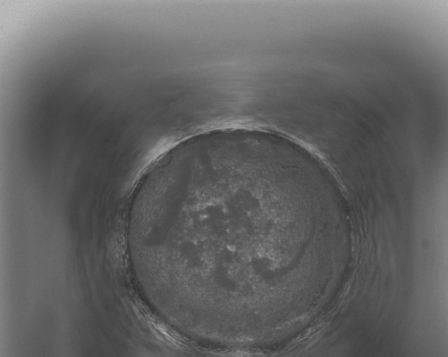 X0000060261359200511041338