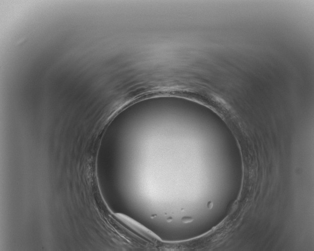 X0000060261361200511041338