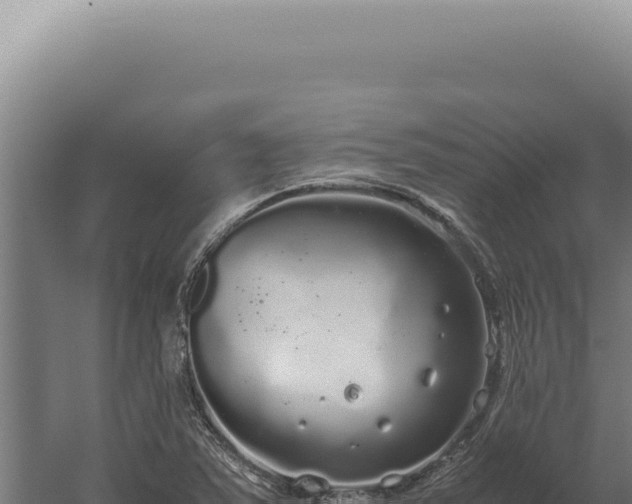 X0000060261363200511041338