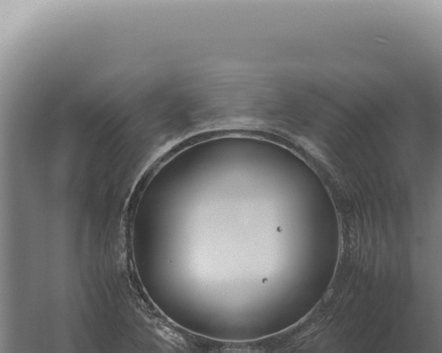 X0000060261364200511041338